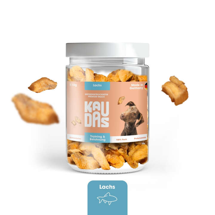 KAUDAS Hundeleckerli LachsPur Natursnack